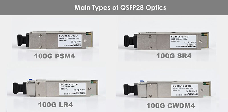 Können QSFP Transceiver in QSFP28 Ports verwendet werden
