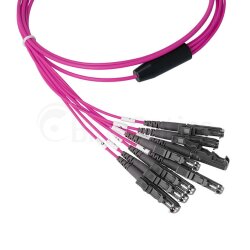 BlueOptics Fibra MPO/4xE2000 Cable de parcheo OM4