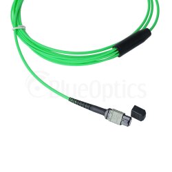 BlueOptics Fiber MPO/4xE2000 Breakout Cable OM5
