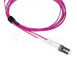 BlueOptics Duplex Cable de parcheo de fibra óptica SN-LC Monomode OM4