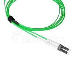 BlueOptics Duplex Cable de parcheo de fibra óptica SN-LC Monomode OM5