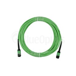BlueOptics Fiber MPO/APC Trunk Cable OM5 16 Cores Type C