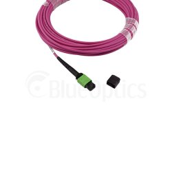 BlueOptics Fiber MTP/APC Trunk Cable OM4 16 Cores Type B