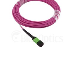 BlueOptics Fibra MTP/APC Cable de parcheo OM4 16 Nucleos...