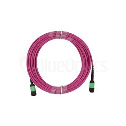 BlueOptics Fiber MTP/APC Trunk Cable OM4 16 Cores Type C