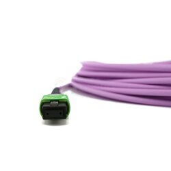 BlueOptics Fibra MPO/APC-8xLC/UPC Cable de parcheo OM4