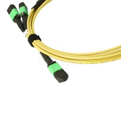 BlueOptics Fiber MPO-16/APC-2xMPO-12/UPC Breakout Cable...