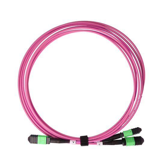 BlueOptics Fiber MPO-16/APC-2xMPO-12/UPC Breakout Cable OM4
