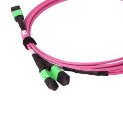 BlueOptics Fiber MPO-16/APC-2xMPO-12/UPC Breakout Cable OM4