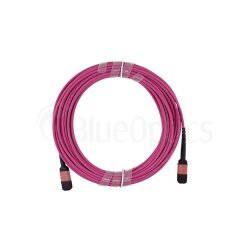 Dell EMC CBL-MPO12-OM4-1M compatible MPO-MPO Monomode OM4 Cable de parcheo de fibra óptica 1 Metro