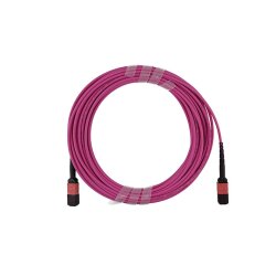 Dell EMC CBL-MPO24-OM4-2M compatible MPO-MPO Monomode OM4 Cable de parcheo de fibra óptica 2 Metros