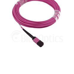 Dell EMC CBL-MPO12-OM4-30M compatible MPO-MPO Multi-mode OM4 Patch Cable 30 Meter