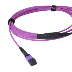 BlueOptics Fiber MPO/8xLC Duplex Breakout Cable OM4