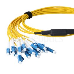 BlueOptics Fibra MPO/8xLC Duplex Cable de parcheo...