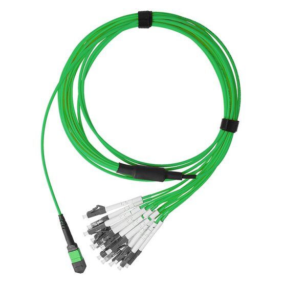BlueOptics Fiber MPO/8xLC Duplex Breakout Cable OM5
