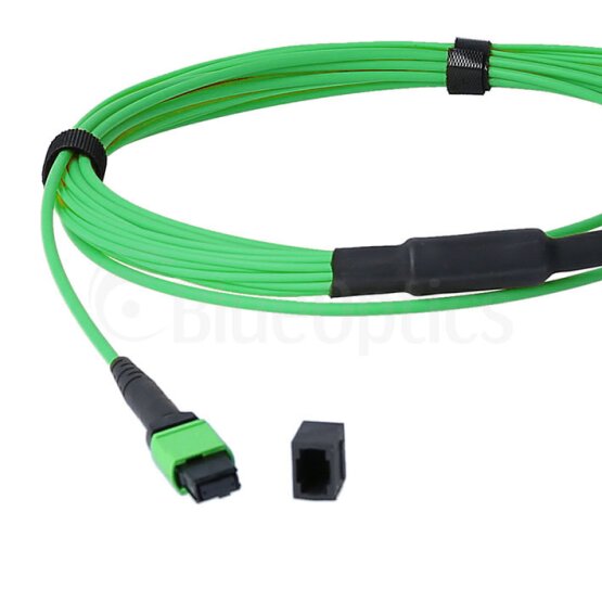 BlueOptics Fiber MPO/8xLC Duplex Breakout Cable OM5