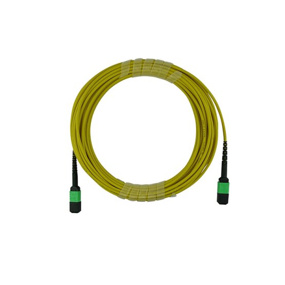 BlueOptics Fibra MPO Cable de parcheo Single-mode 16 Nucleos Type A