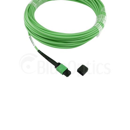 BlueOptics Fiber MPO Trunk Cable OM5 16 Cores Type B