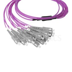 BlueOptics Fibra MPO/8xSC Duplex Cable de parcheo OM4