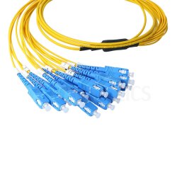 BlueOptics Fibra MPO/8xSC Duplex Cable de parcheo...