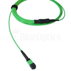 BlueOptics Fibra MPO/8xST Duplex Cable de parcheo OM5