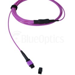 BlueOptics Fibra MPO/8xST Duplex Cable de parcheo OM4 20 Metros