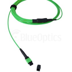 BlueOptics Fibra MPO/8xST Duplex Cable de parcheo OM5 30 Metros