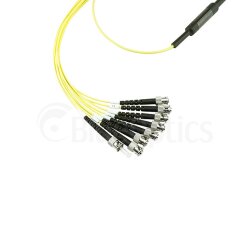 BlueOptics Fibra MPO/4xST Cable de parcheo G.657.A1...