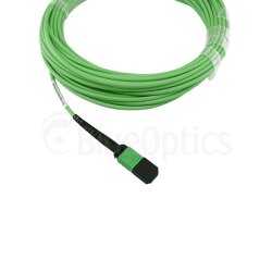 BlueOptics Fibra MPO/4xST Cable de parcheo OM5