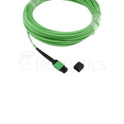 BlueOptics Fibra MPO/4xST Cable de parcheo OM5