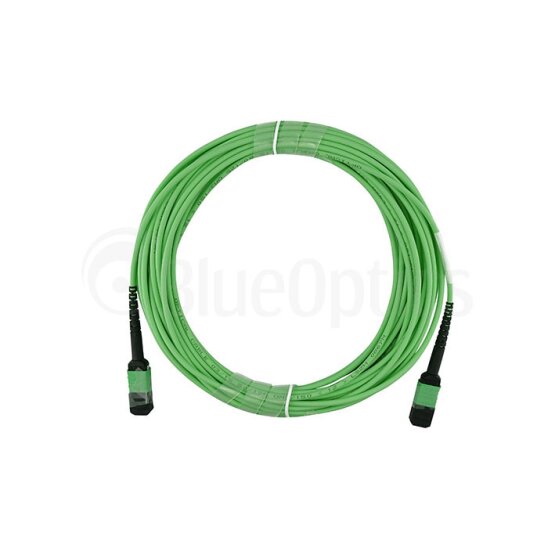BlueOptics Fiber MPO Trunk Cable OM5 12 Cores Type B