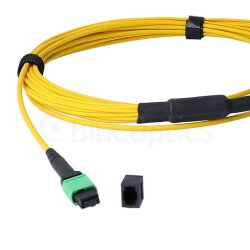 BlueOptics Fibra MTP/8xLC Duplex Cable de parcheo G.657.A1 Single-mode