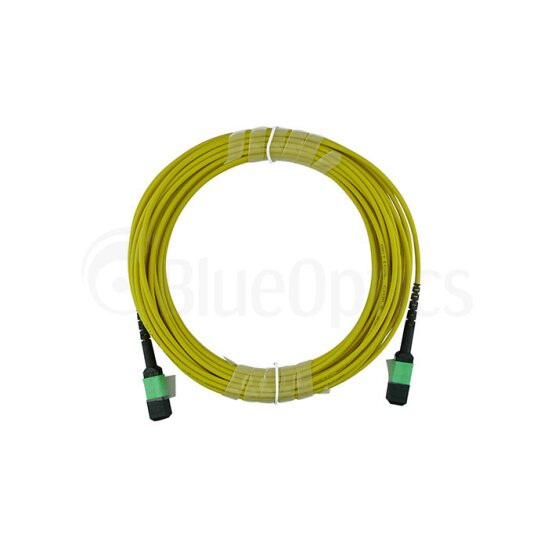 BlueOptics Fibra MTP Cable de parcheo Single-mode 32 Nucleos Type A