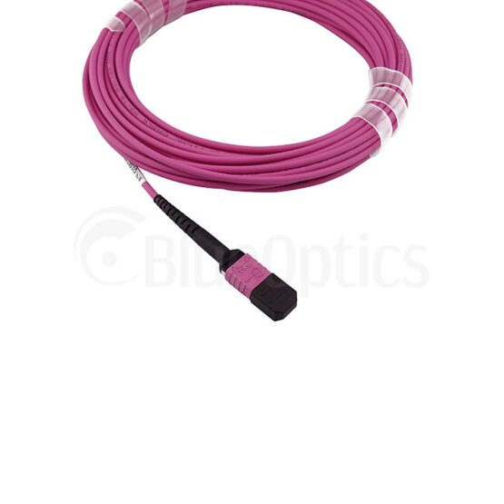 BlueOptics Fibra MTP Cable de parcheo OM4 32 Núcleos Type A