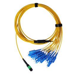 BlueOptics Fibra MTP/8xSC Duplex Cable de parcheo...