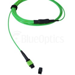 BlueOptics Fiber MTP/8xSC Duplex Breakout Cable OM5