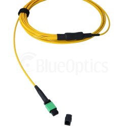 BlueOptics Fibra MTP/8xST Duplex Cable de parcheo G.657.A1 Single-mode
