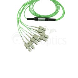BlueOptics Fibra MTP/4xSC Cable de parcheo OM5